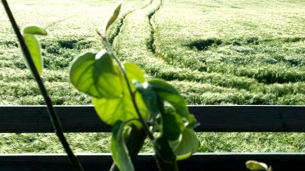 Gite Labradors De Bailly - Giverny Saint-Pierre-la-Garenne エクステリア 写真