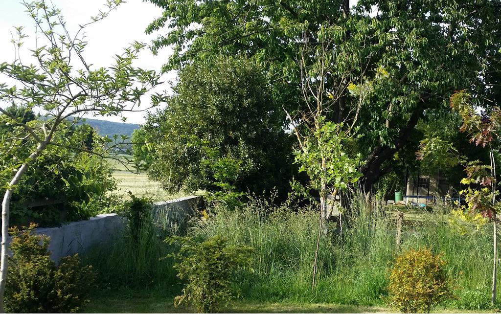 Gite Labradors De Bailly - Giverny Saint-Pierre-la-Garenne エクステリア 写真
